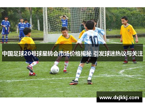 中国足球20号球星转会市场价格揭秘 引发球迷热议与关注